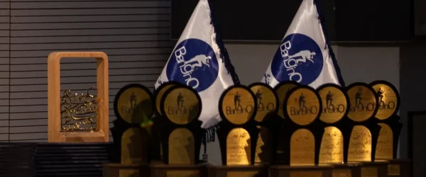 Bangino-competition-winners-Interview